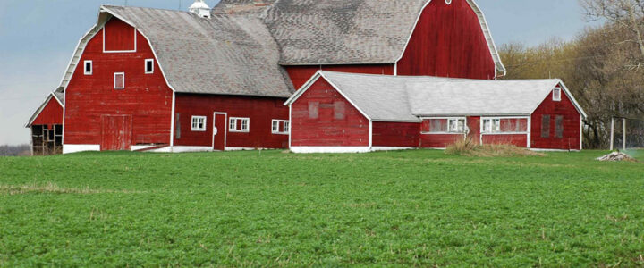 O Brasil é o “Celeiro do Mundo”?