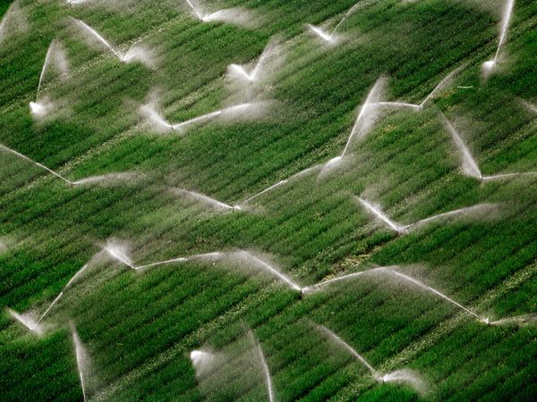 Manejo eficiente e otimizado da irrigação