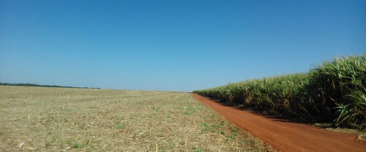 Brazilian Way of Farming