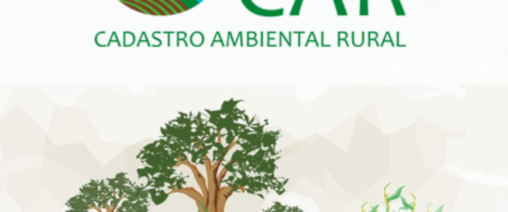 Três itens indispensáveis para fazer o CAR