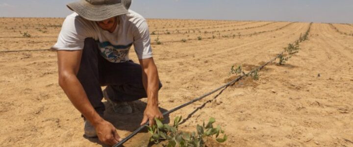 5 maneiras de economizar água na agricultura