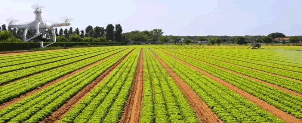 Benefícios dos VANTs na agricultura