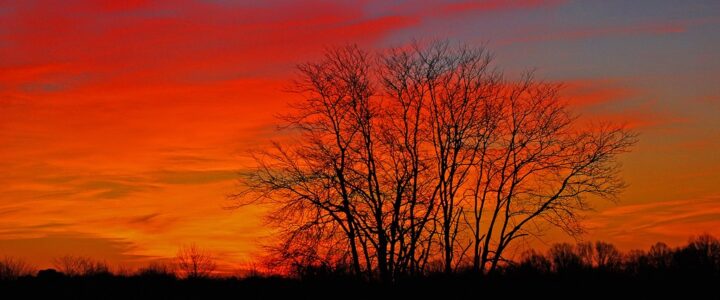 Como fazer a avaliação econômica de projetos agropecuários