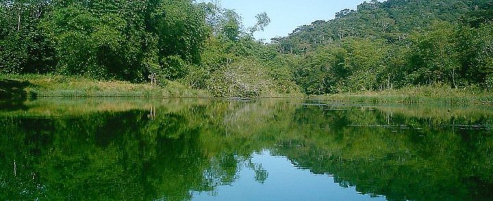 O que significa RPPN