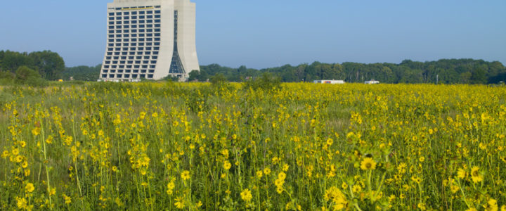 O quê a Fazenda 4.0, fabricar smartphones e a física de partículas têm em comum?