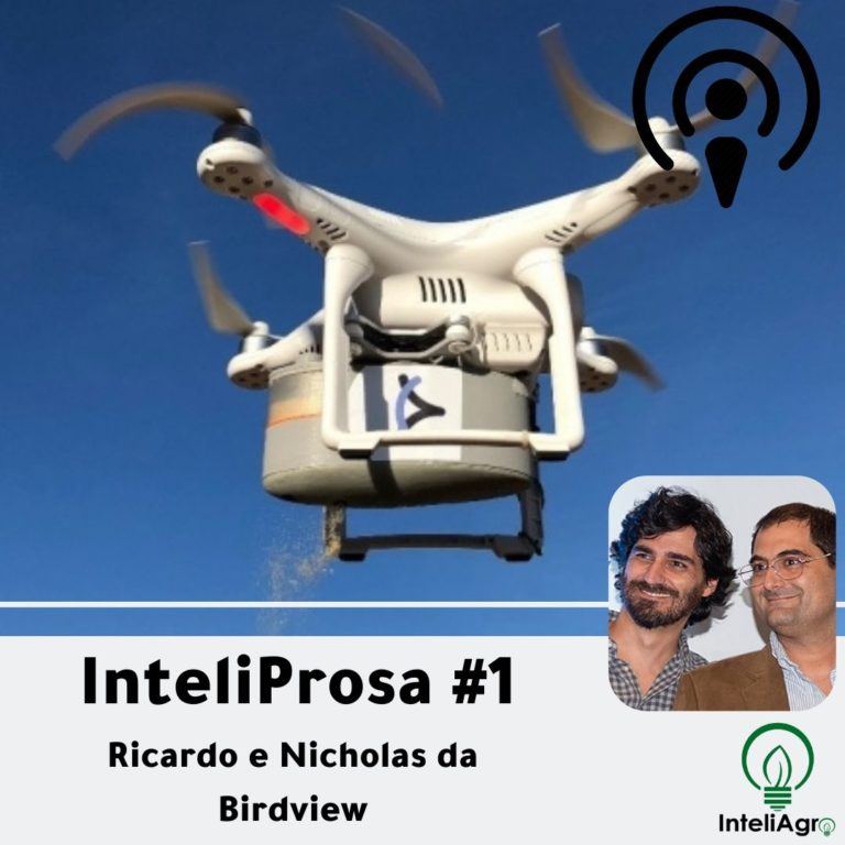 [InteliProsa #1] – Nicholas e Ricardo da Birdview