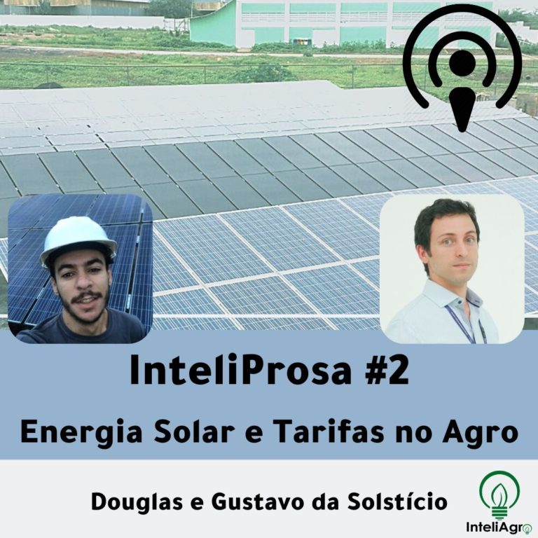 InteliProsa2