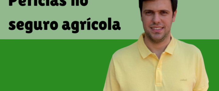 IP#75 – Perícias do Seguro Agrícola
